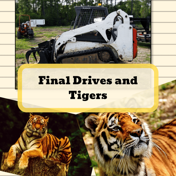 Final Drives and Tigers