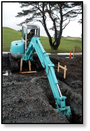 blue-mini-excavator-compact-excavator-trench-digging.png