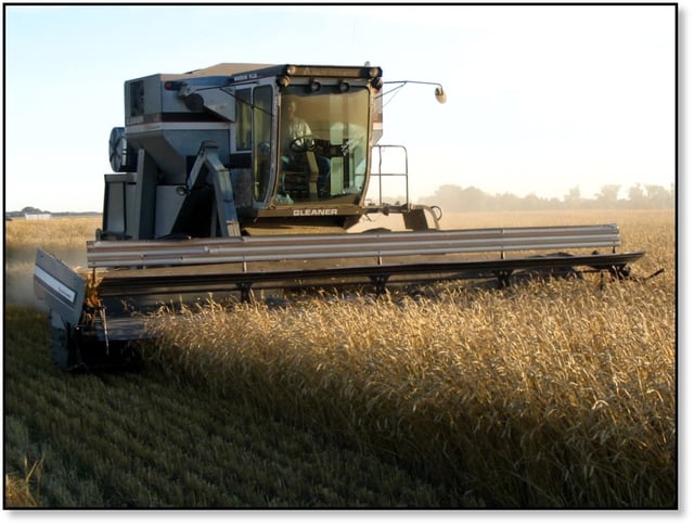 modern-AGCO-gleaner-combine