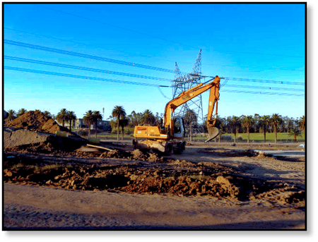 excavator-palm-trees-square-gray-market-machine-blog-1